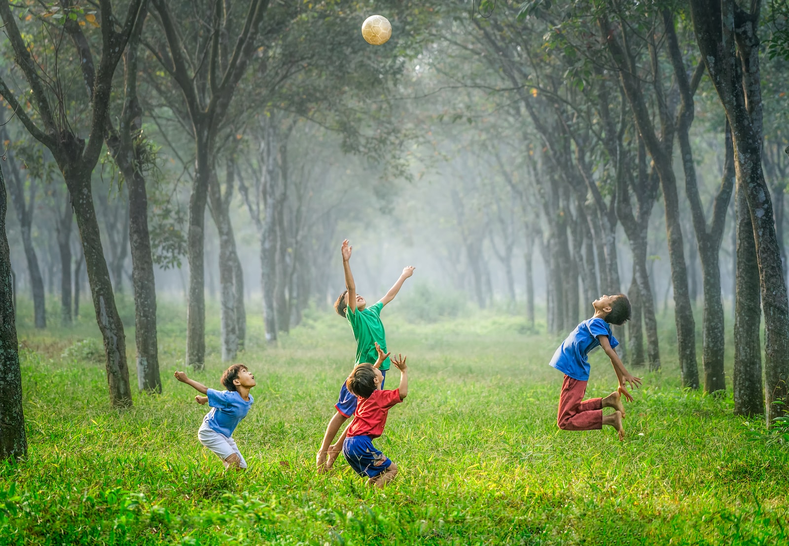 four boy playing ball on green grass